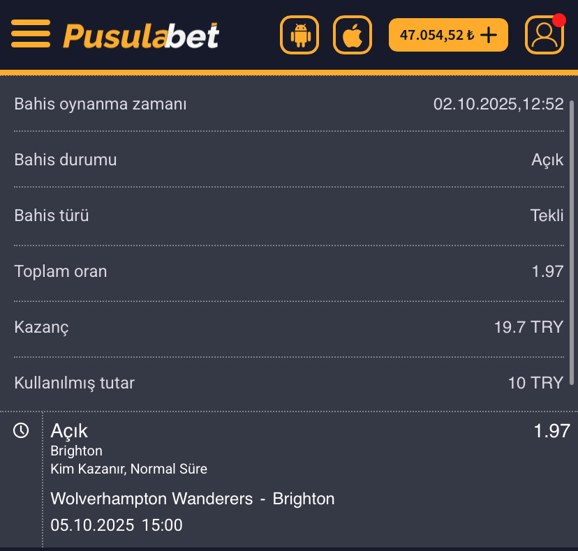 Wolverhampton - Brighton Maç Tahmini ve Analizi: Pusulabet Kupon İncelemesi - Ekran Görüntüsü 2