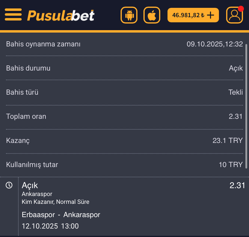 Erbaaspor - Ankaraspor Maç Tahmini ve Detaylı Analiz - Ekran Görüntüsü 2
