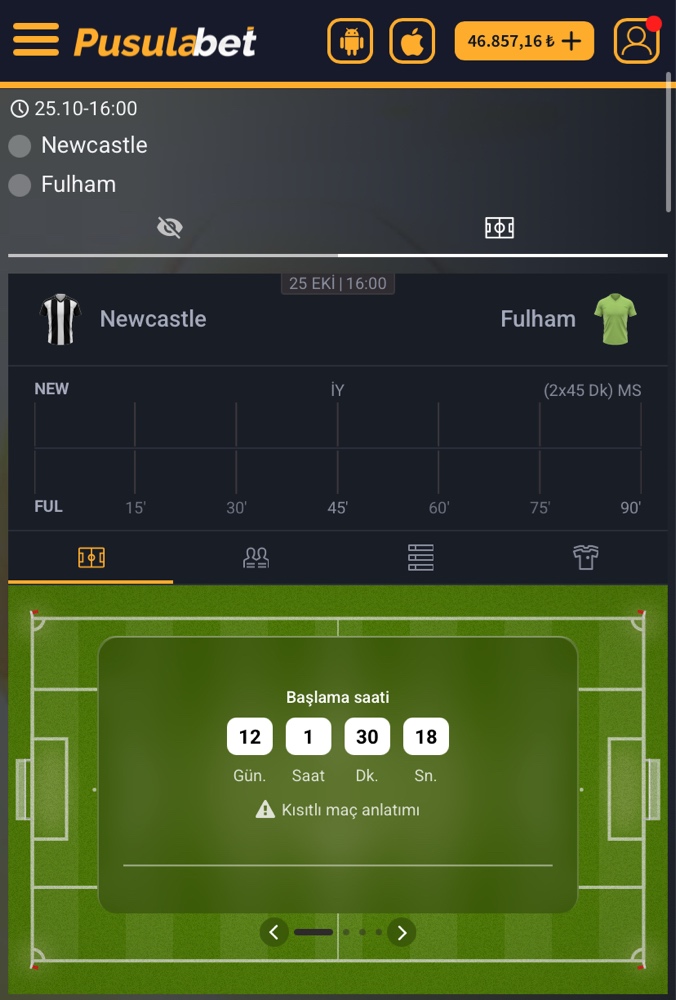 Newcastle - Fulham